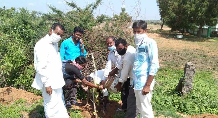 ధరిపల్లిలో ప్రారంభమైన హరితహారం