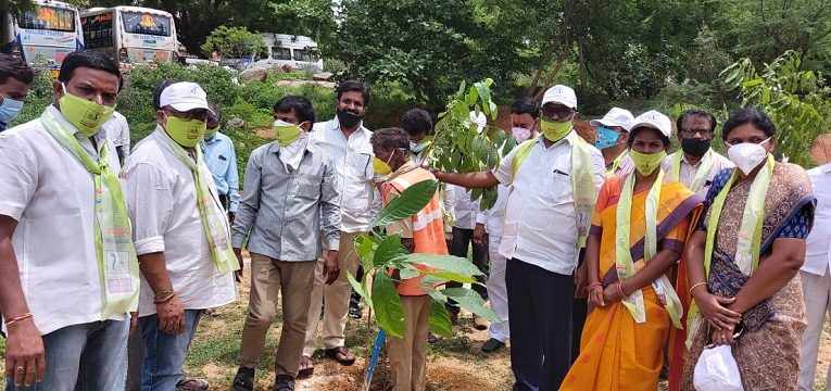 మొక్క‌లు నాటిన కాట‌ప‌ల్లి ల‌తా రామ‌చంద్రారెడ్డి