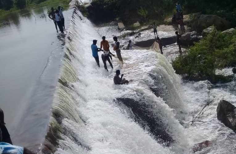 అలుగెలుతున్న ధ‌రిప‌ల్లి, సూరా‌రం చెరువులు